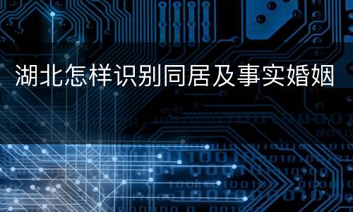 湖北怎样识别同居及事实婚姻