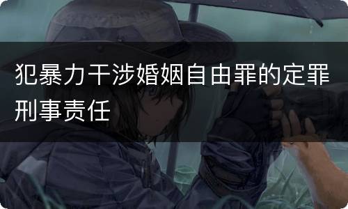 犯暴力干涉婚姻自由罪的定罪刑事责任