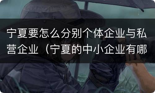 宁夏要怎么分别个体企业与私营企业（宁夏的中小企业有哪些）