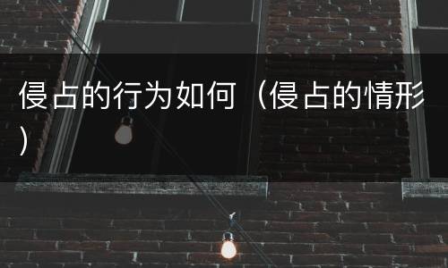 侵占的行为如何（侵占的情形）