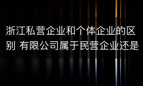 浙江私营企业和个体企业的区别 有限公司属于民营企业还是私企还是个体