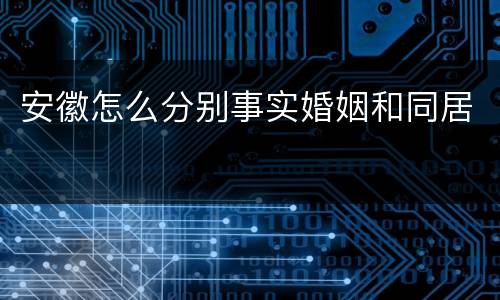 安徽怎么分别事实婚姻和同居