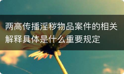 两高传播淫秽物品案件的相关解释具体是什么重要规定
