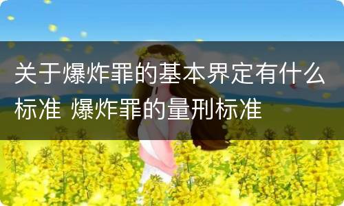 关于爆炸罪的基本界定有什么标准 爆炸罪的量刑标准