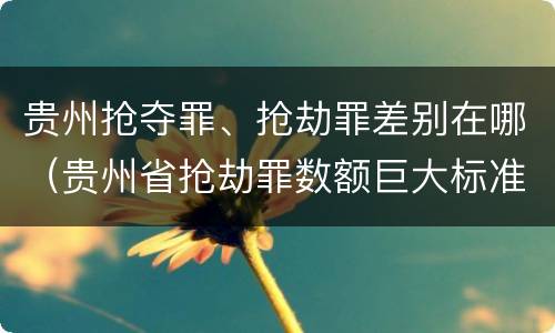 贵州抢夺罪、抢劫罪差别在哪（贵州省抢劫罪数额巨大标准）