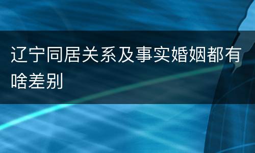 辽宁同居关系及事实婚姻都有啥差别