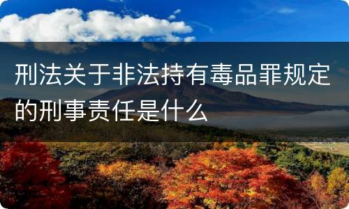 刑法关于非法持有毒品罪规定的刑事责任是什么