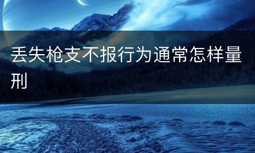 丢失枪支不报行为通常怎样量刑