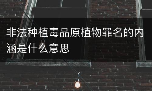 非法种植毒品原植物罪名的内涵是什么意思