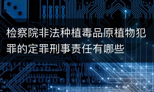 检察院非法种植毒品原植物犯罪的定罪刑事责任有哪些