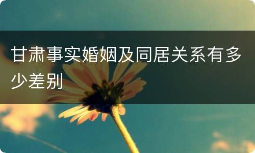 甘肃事实婚姻及同居关系有多少差别