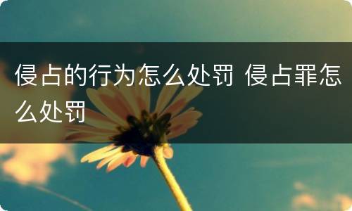 侵占的行为怎么处罚 侵占罪怎么处罚