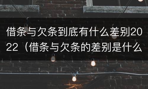 借条与欠条到底有什么差别2022（借条与欠条的差别是什么）