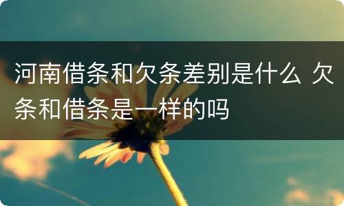 河南借条和欠条差别是什么 欠条和借条是一样的吗