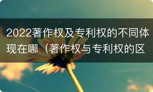 2022著作权及专利权的不同体现在哪（著作权与专利权的区别和联系）