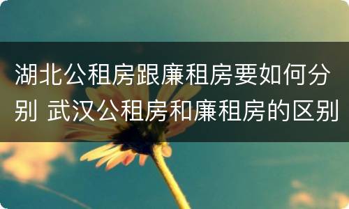 湖北公租房跟廉租房要如何分别 武汉公租房和廉租房的区别