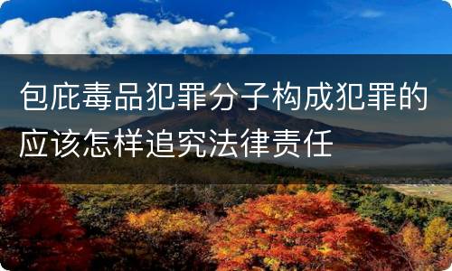 包庇毒品犯罪分子构成犯罪的应该怎样追究法律责任