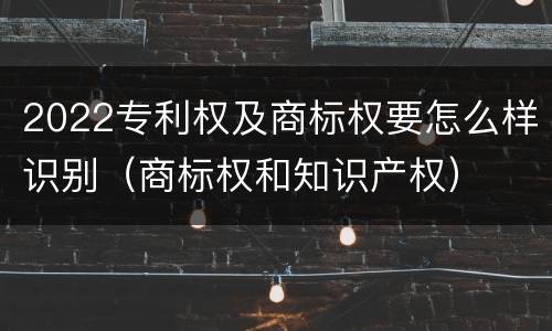 2022专利权及商标权要怎么样识别（商标权和知识产权）
