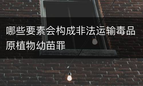 哪些要素会构成非法运输毒品原植物幼苗罪