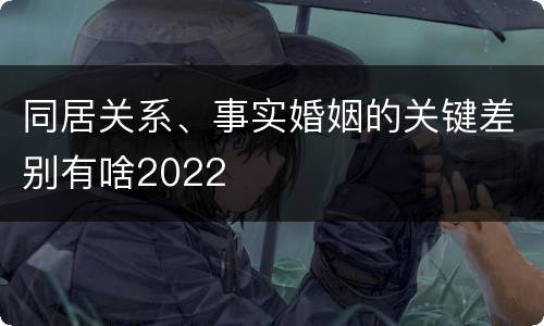 同居关系、事实婚姻的关键差别有啥2022