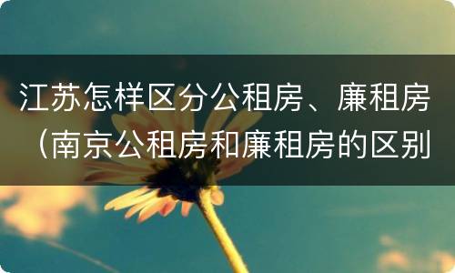江苏怎样区分公租房、廉租房（南京公租房和廉租房的区别）