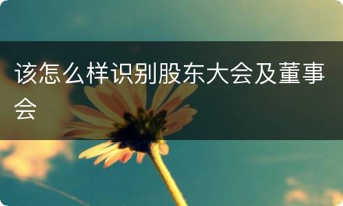 该怎么样识别股东大会及董事会