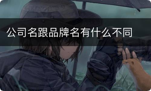 公司名跟品牌名有什么不同