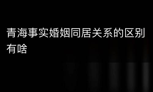 青海事实婚姻同居关系的区别有啥