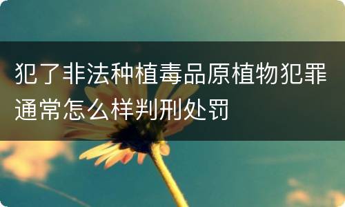 犯了非法种植毒品原植物犯罪通常怎么样判刑处罚