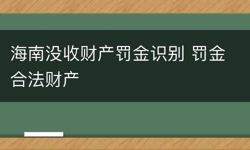 海南没收财产罚金识别 罚金 合法财产