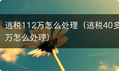 逃税112万怎么处理（逃税40多万怎么处理）