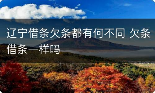 辽宁借条欠条都有何不同 欠条借条一样吗