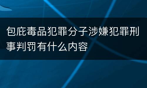 包庇毒品犯罪分子涉嫌犯罪刑事判罚有什么内容