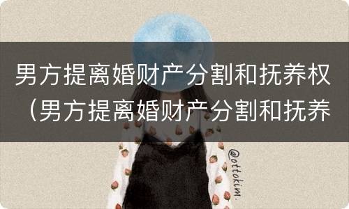 男方提离婚财产分割和抚养权（男方提离婚财产分割和抚养权有关系吗）
