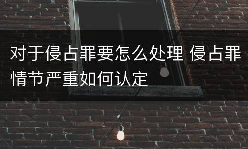 对于侵占罪要怎么处理 侵占罪情节严重如何认定
