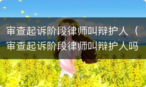 审查起诉阶段律师叫辩护人（审查起诉阶段律师叫辩护人吗）