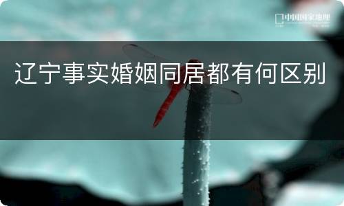 辽宁事实婚姻同居都有何区别