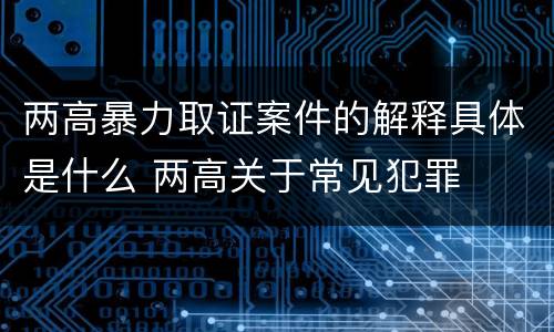 两高暴力取证案件的解释具体是什么 两高关于常见犯罪