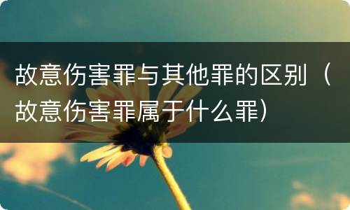 故意伤害罪与其他罪的区别（故意伤害罪属于什么罪）