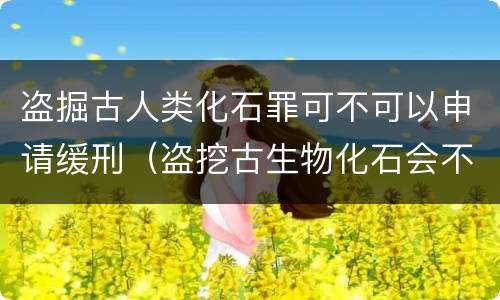 盗掘古人类化石罪可不可以申请缓刑（盗挖古生物化石会不会被判刑）
