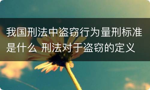 我国刑法中盗窃行为量刑标准是什么 刑法对于盗窃的定义