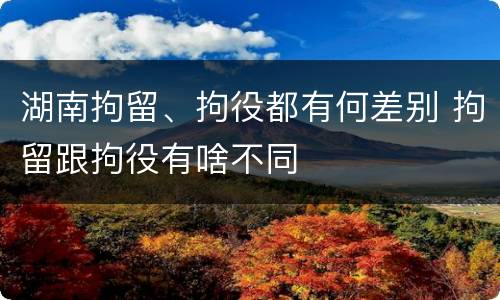 湖南拘留、拘役都有何差别 拘留跟拘役有啥不同