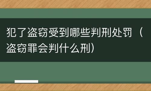 犯了盗窃受到哪些判刑处罚（盗窃罪会判什么刑）