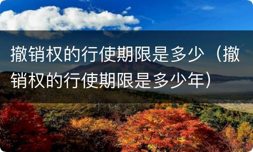 撤销权的行使期限是多少（撤销权的行使期限是多少年）