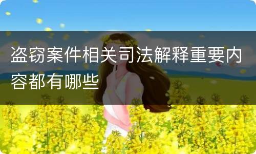 盗窃案件相关司法解释重要内容都有哪些
