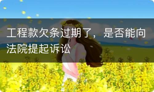 工程款欠条过期了，是否能向法院提起诉讼