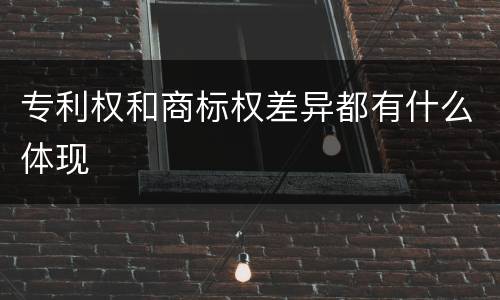 专利权和商标权差异都有什么体现