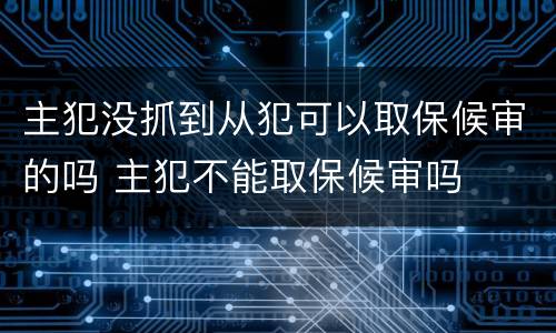主犯没抓到从犯可以取保候审的吗 主犯不能取保候审吗