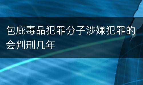 包庇毒品犯罪分子涉嫌犯罪的会判刑几年
