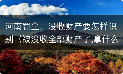 河南罚金、没收财产要怎样识别（被没收全部财产了,拿什么交罚金）